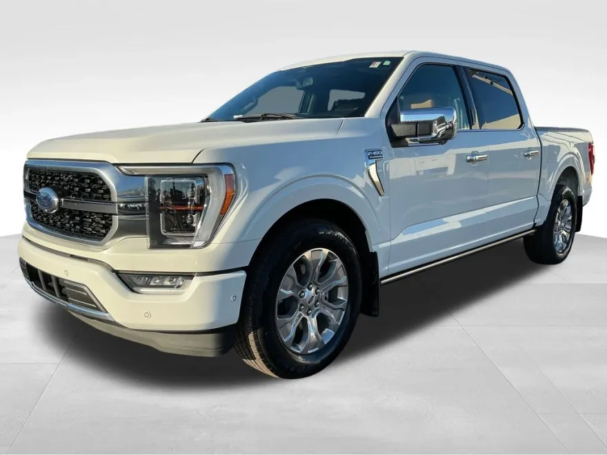 2023 Ford F-150 Platinum photo 1