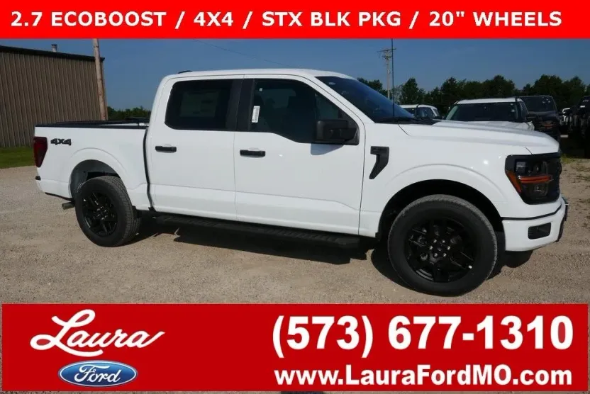 2025 Ford F-150 STX photo 1