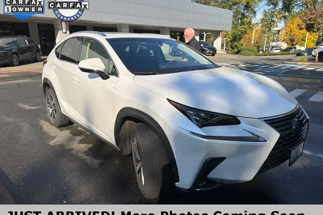 2018 Lexus NX 300 Luxury photo 1
