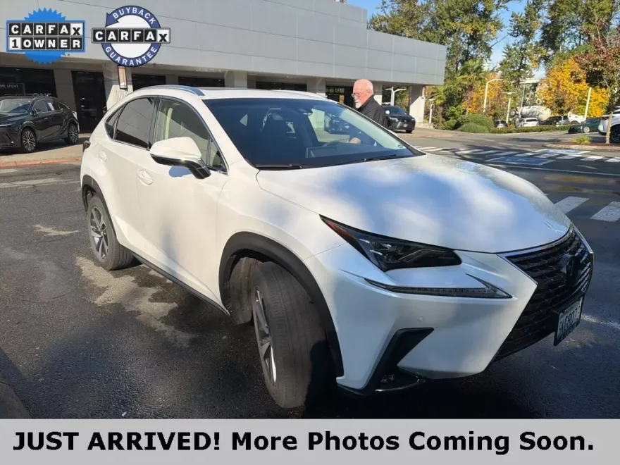 2018 Lexus NX 300 Luxury photo 1