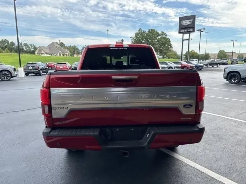 2019 Ford F-150 Platinum photo 4