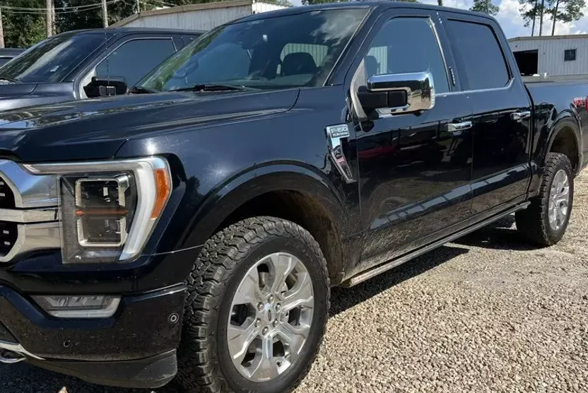 2021 Ford F-150 Platinum photo 1