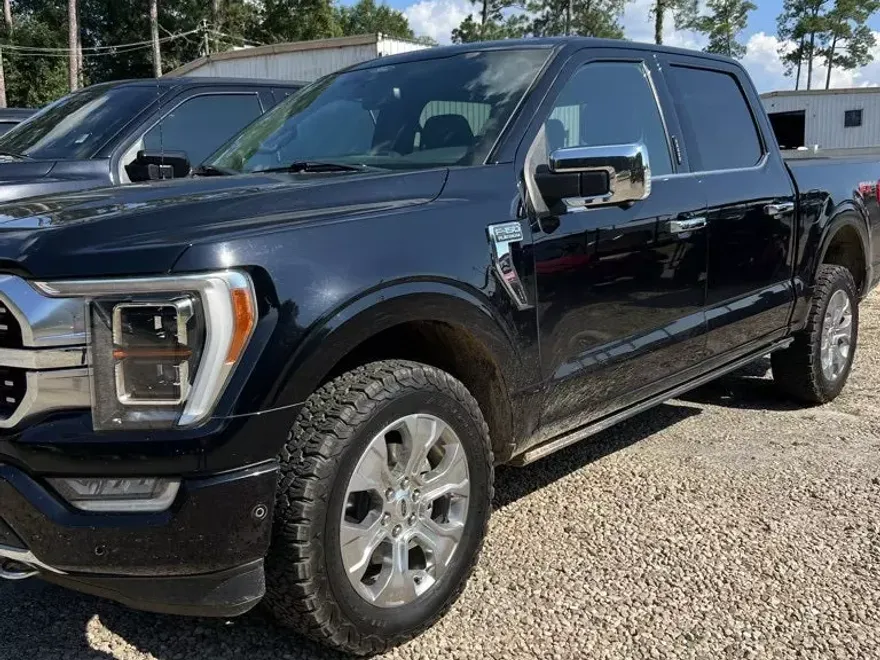 2021 Ford F-150 Platinum photo 1