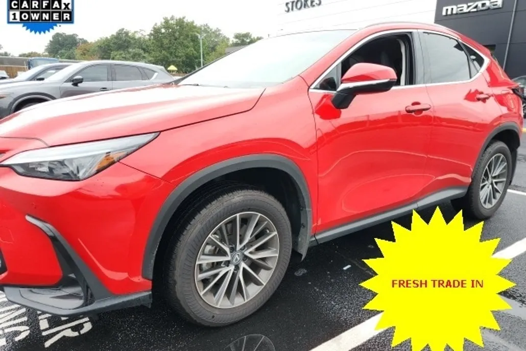 2025 Lexus NX 250 photo 1