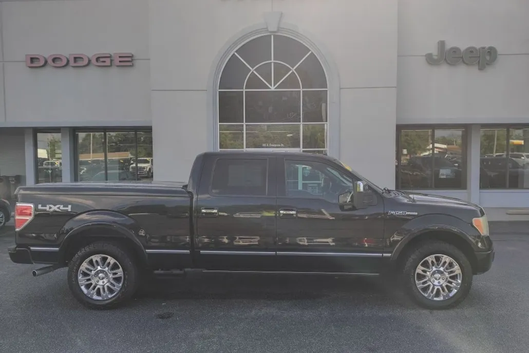 2009 Ford F-150 Platinum photo 1
