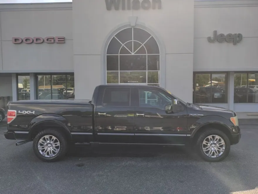 2009 Ford F-150 Platinum photo 1