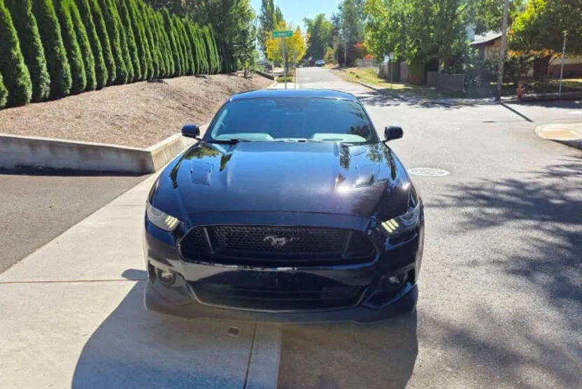 2015 Ford Mustang GT Premium photo 1