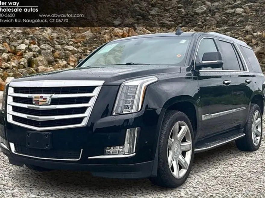 2017 Cadillac Escalade Standard photo 1