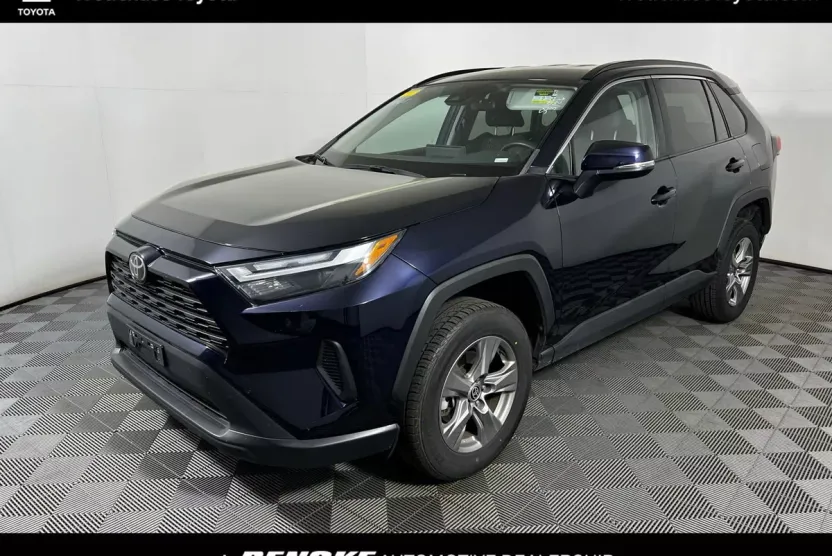 2019 Toyota RAV4 XLE photo 1