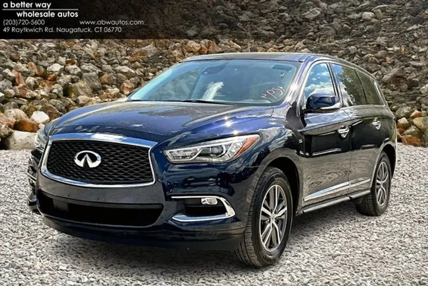 2020 Infiniti QX60 Pure photo 1