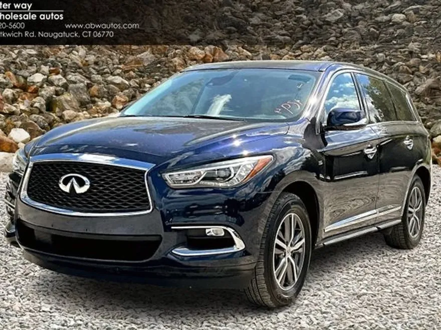 2020 Infiniti QX60 Pure photo 1