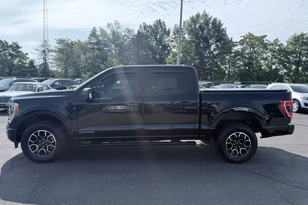 2023 Ford F-150 XLT photo 1