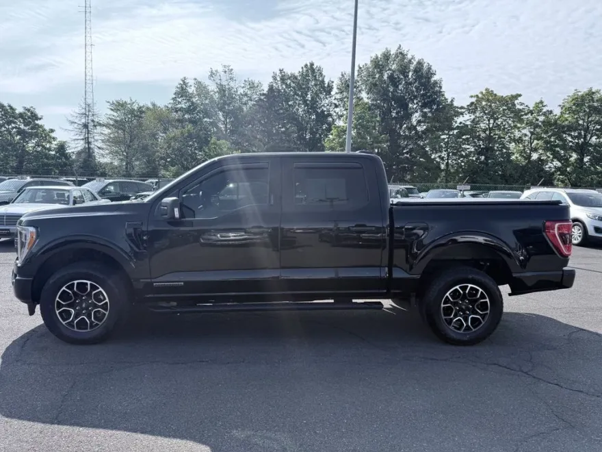 2023 Ford F-150 XLT photo 1