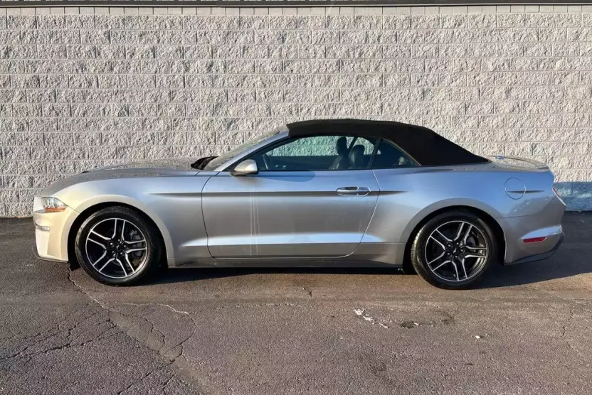 2023 Ford Mustang EcoBoost Premium photo 1