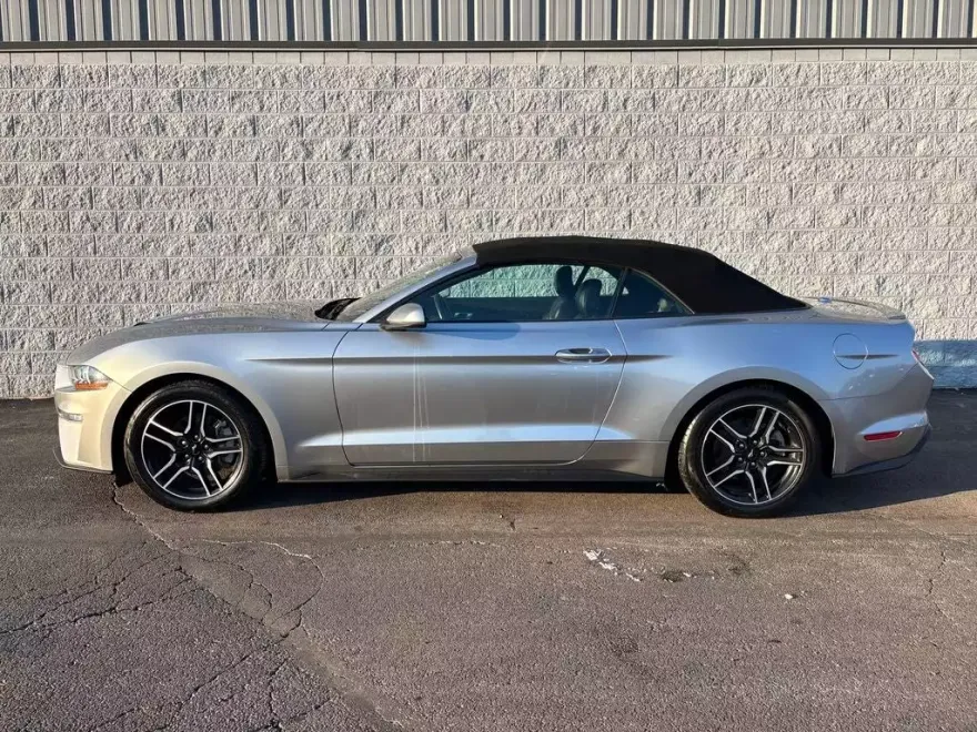 2023 Ford Mustang EcoBoost Premium photo 1