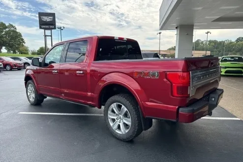 2019 Ford F-150 Platinum photo 3