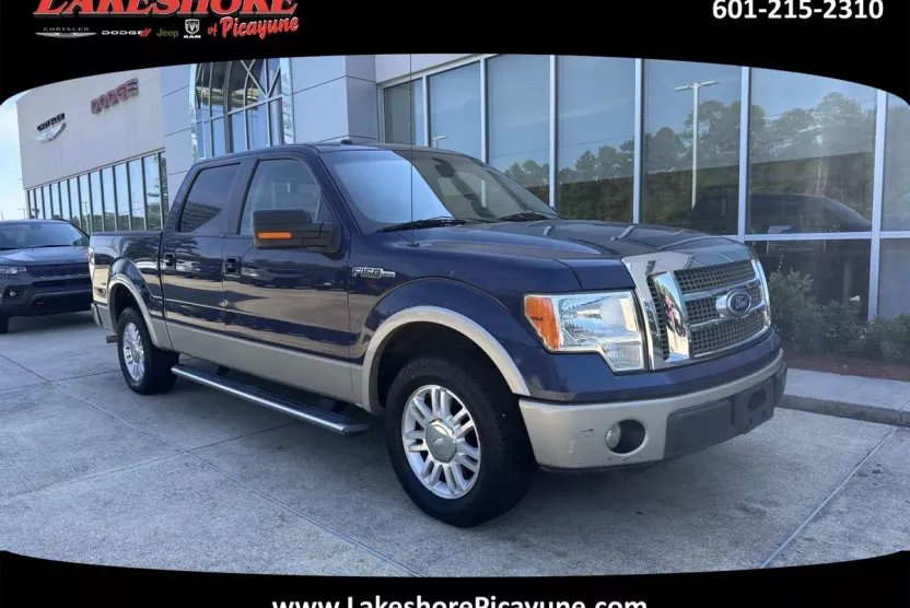 2010 Ford F-150 Base photo 1