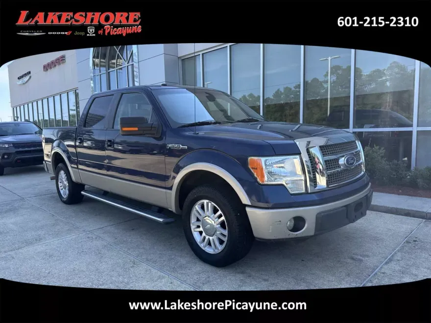 2010 Ford F-150 Base photo 1