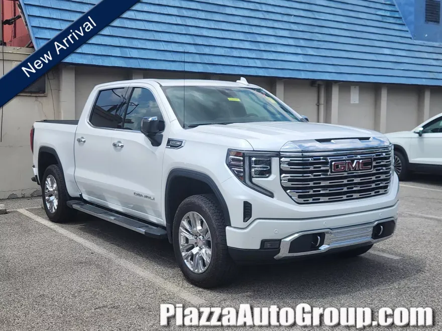 2022 Gmc Sierra 1500 Denali photo 1