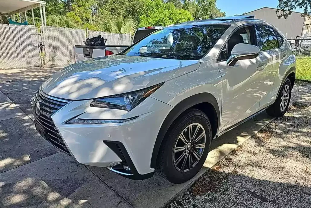 2018 Lexus NX 300 Luxury photo 1
