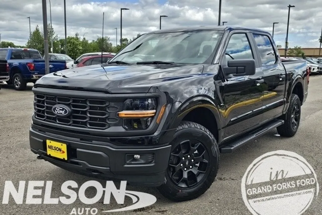 2025 Ford F-150 STX photo 1