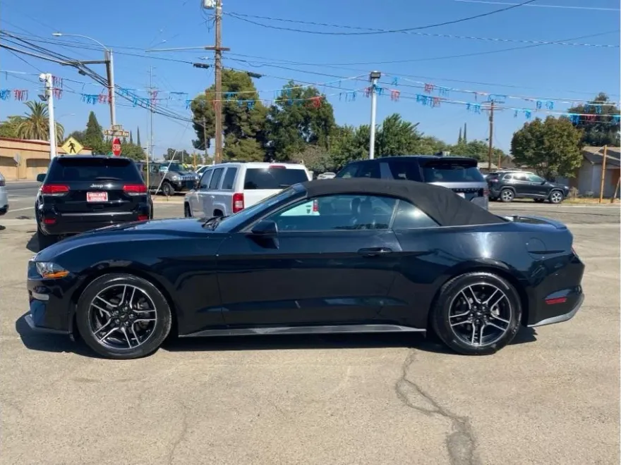2023 Ford Mustang EcoBoost Premium Convertible photo 1