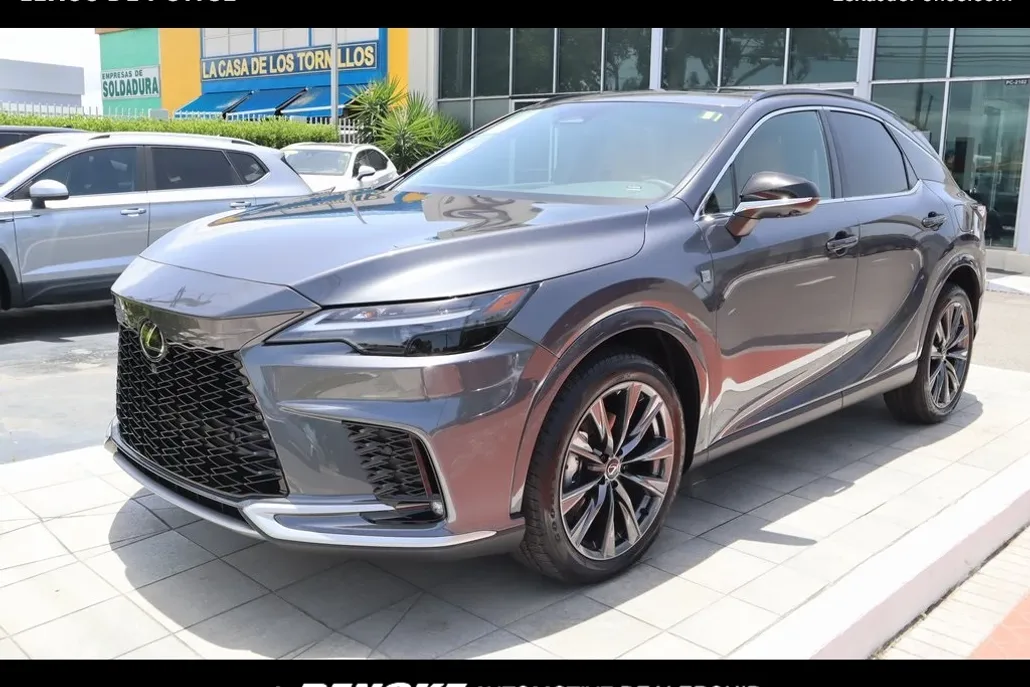2025 Lexus RX 350 photo 1