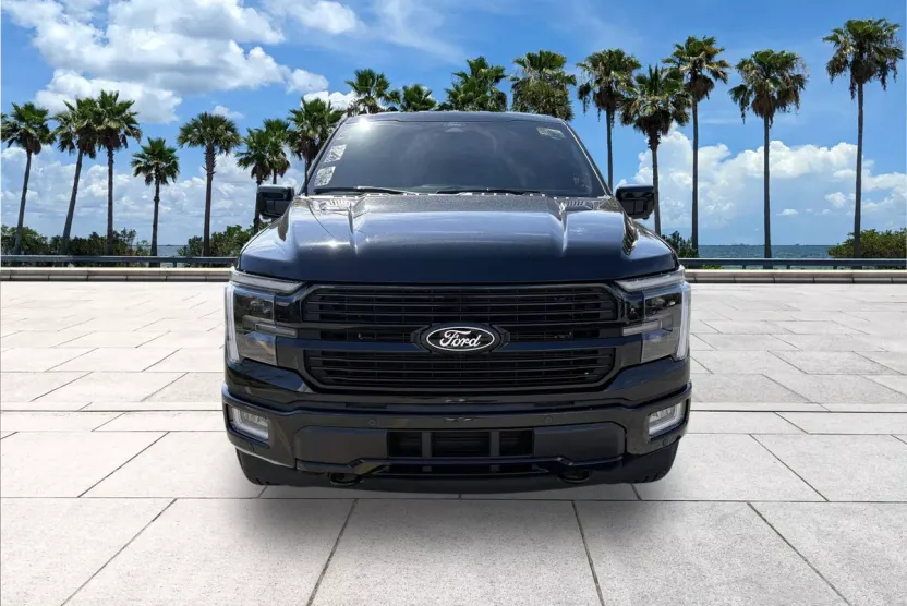 2025 Ford F-150 Platinum photo 1