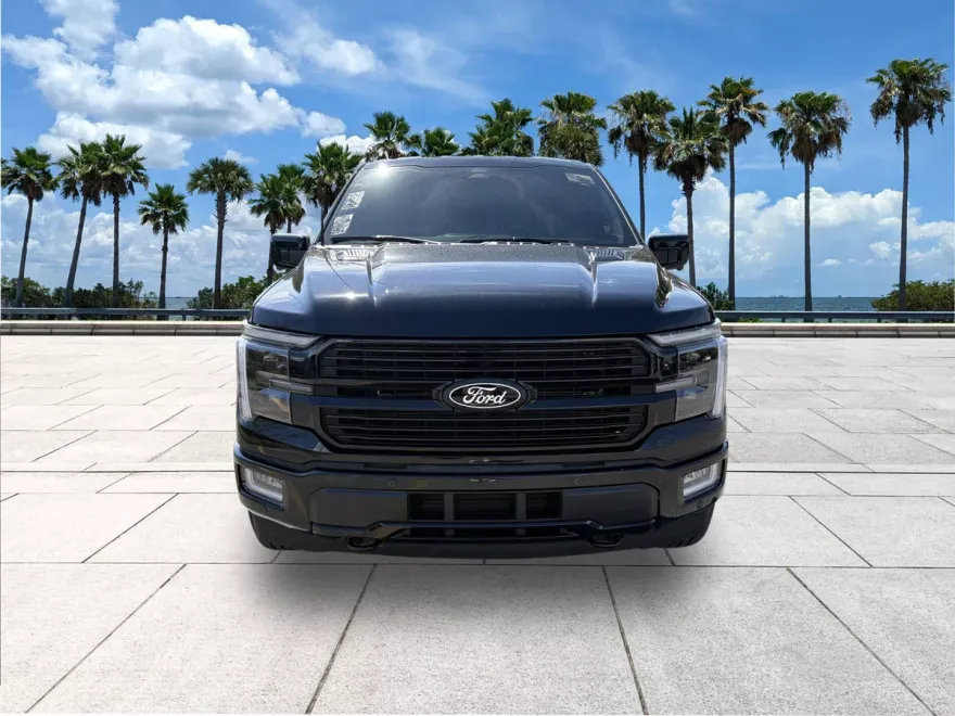 2025 Ford F-150 Platinum photo 1