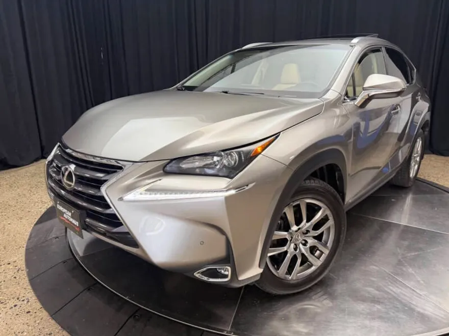 2015 Lexus NX 200t Luxury photo 1