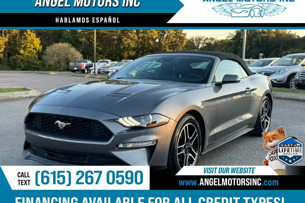2021 Ford Mustang EcoBoost Convertible photo 1
