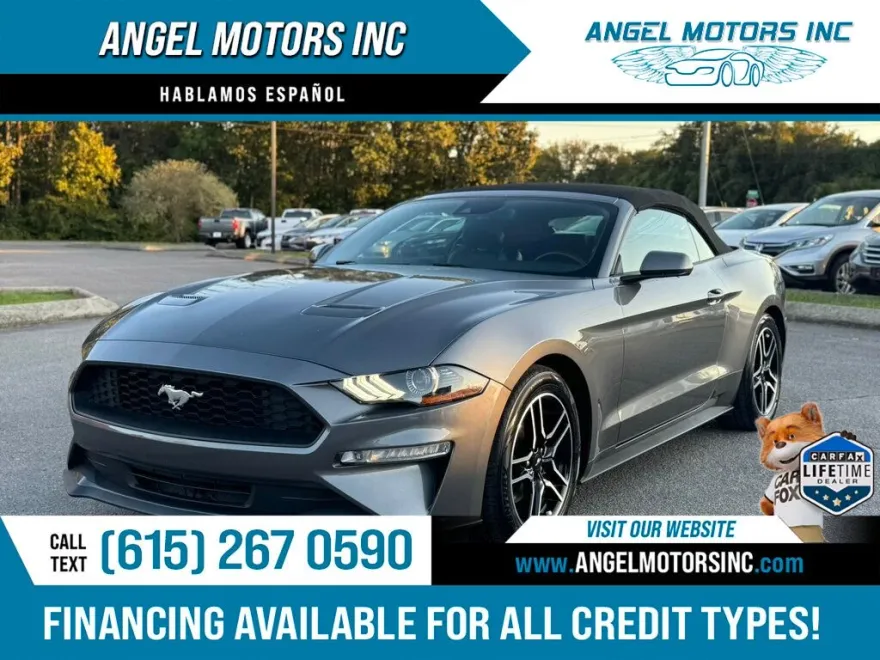 2021 Ford Mustang EcoBoost Convertible photo 1