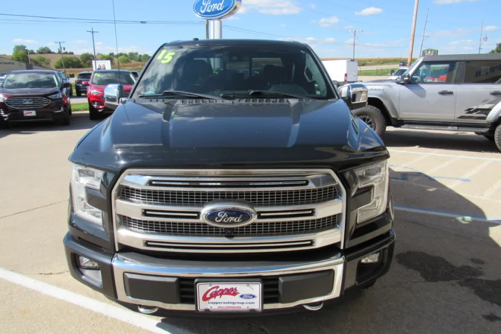 2015 Ford F-150 Platinum photo 1
