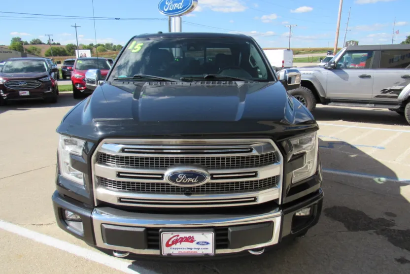 2015 Ford F-150 Platinum photo 1