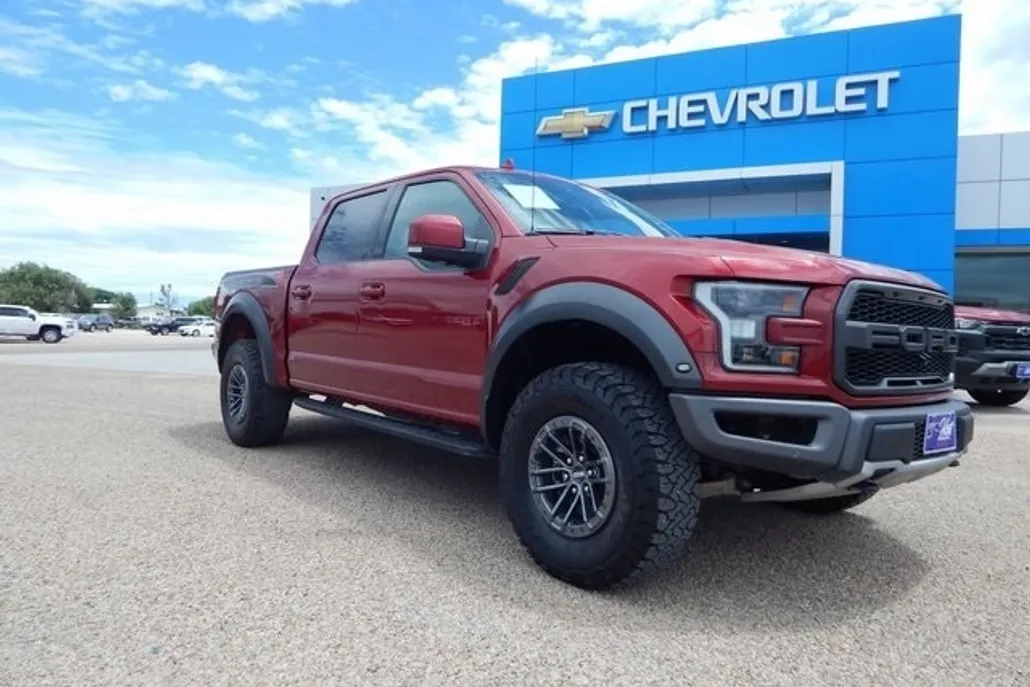 2019 Ford F-150 Raptor photo 1