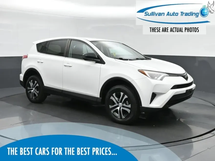 2018 Toyota RAV4 LE photo 1