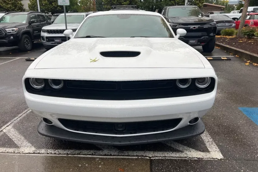 2019 Dodge Challenger GT photo 1