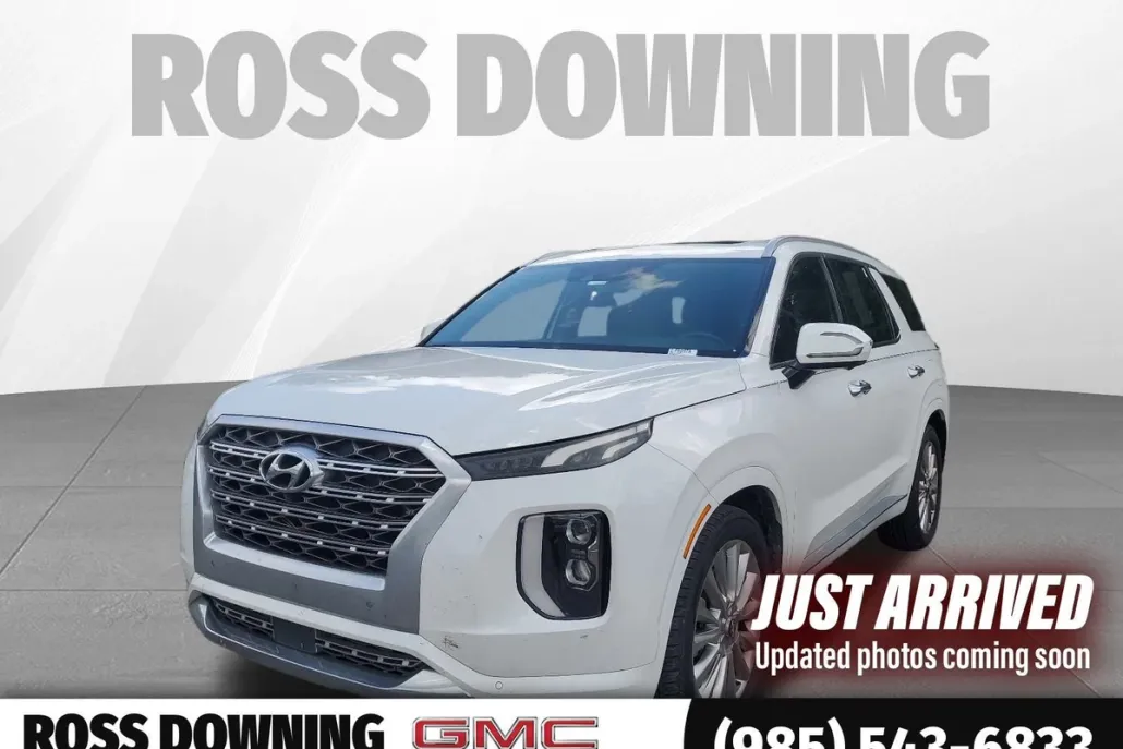 2020 Hyundai Palisade Limited photo 1