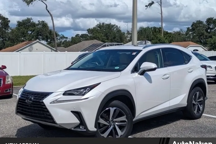 2019 Lexus NX 300 Luxury photo 1
