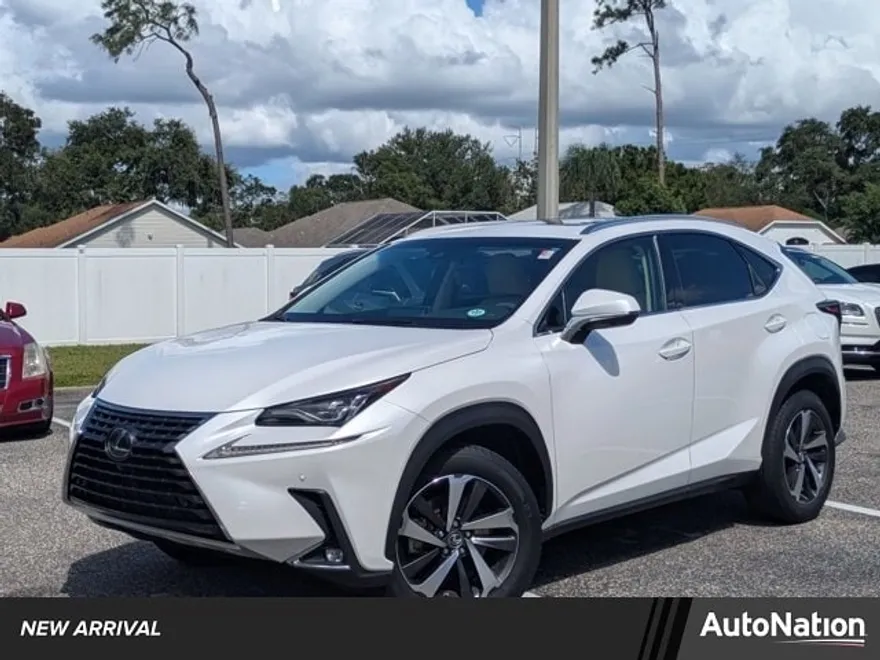 2019 Lexus NX 300 Luxury photo 1