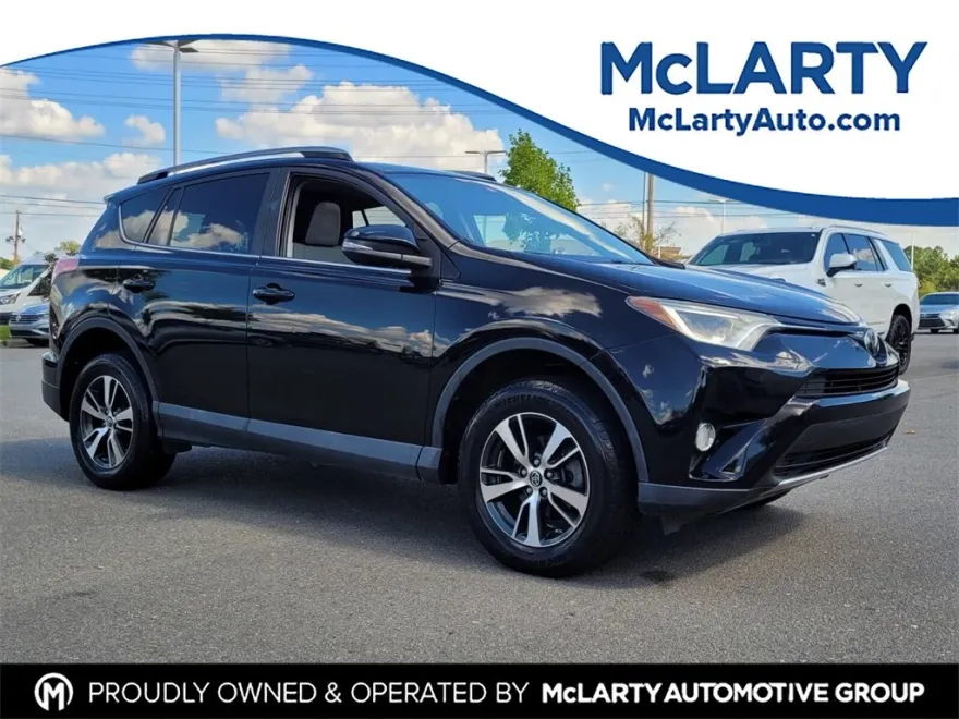 2017 Toyota RAV4 XLE photo 1