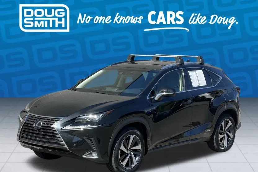 2018 Lexus NX 300h Luxury photo 1
