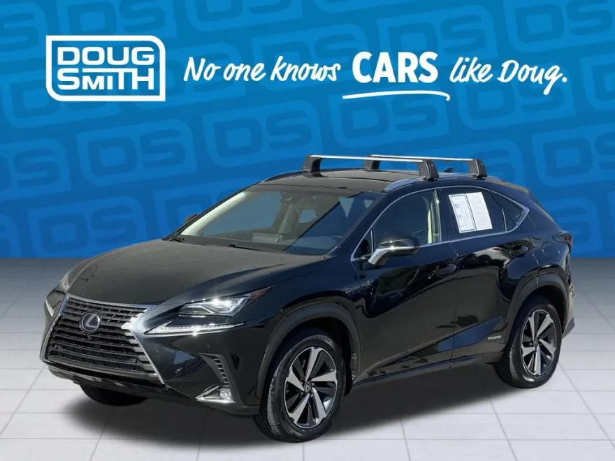 2018 Lexus NX 300h Luxury photo 1