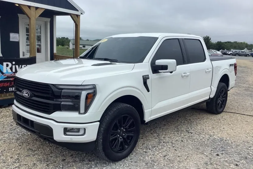 2024 Ford F-150 Platinum photo 1
