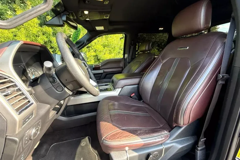 2015 Ford F-150 Platinum photo 1