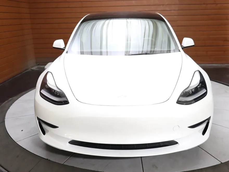 2022 Tesla Model 3 photo 1