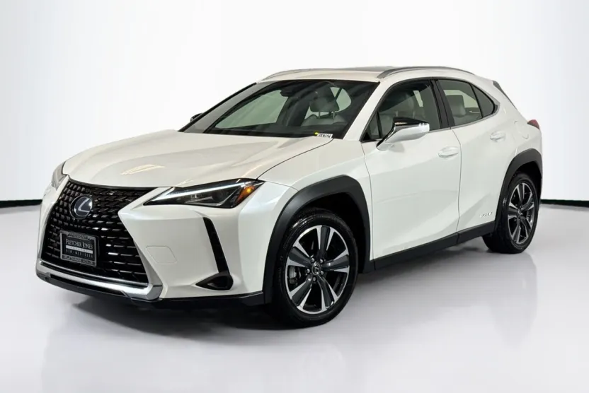 2019 Lexus UX 250h photo 1