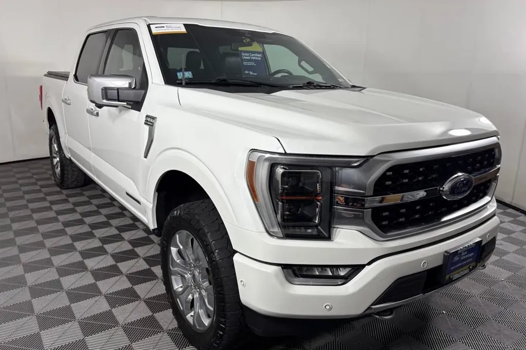 2021 Ford F-150 Platinum photo 1