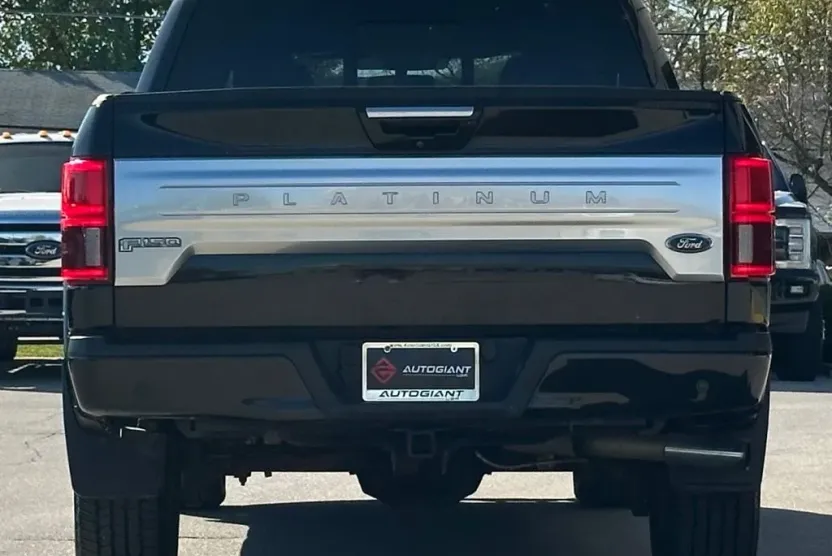 2019 Ford F-150 Platinum photo 1