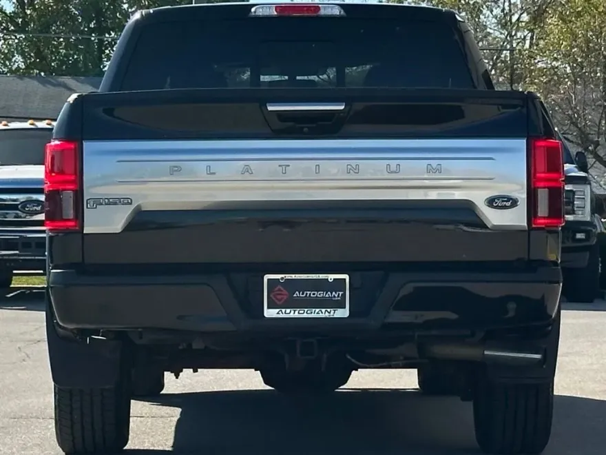 2019 Ford F-150 Platinum photo 1
